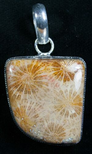 Beautiful Fossil Coral Sunburst Pendant #7918